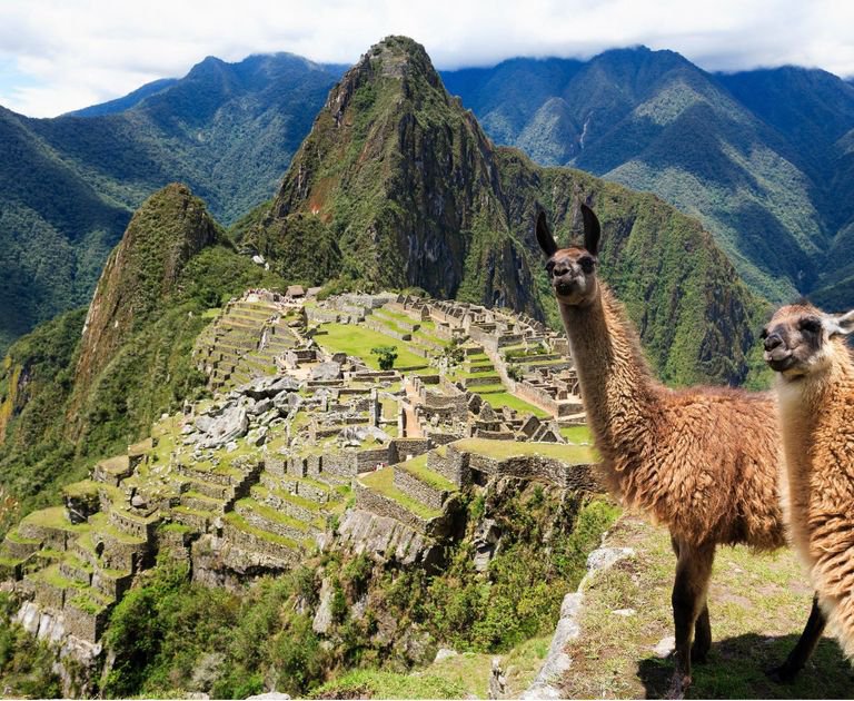 Machu Picchu
